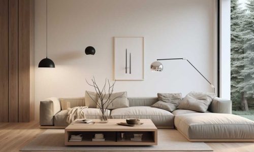Minimalist Living Area 1